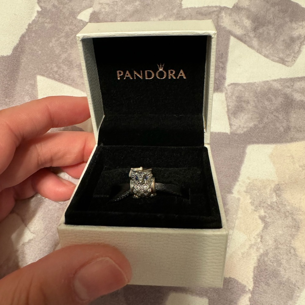 Graduation Owl Pandora Charm